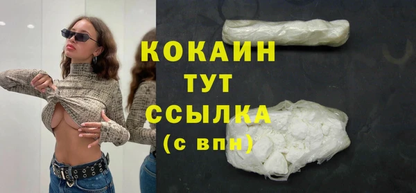 молекула духа Медвежьегорск