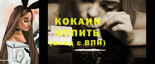 молекула духа Медвежьегорск