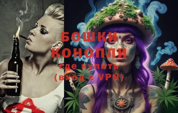 дмт Мегион