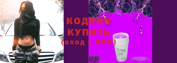 молекула духа Медвежьегорск