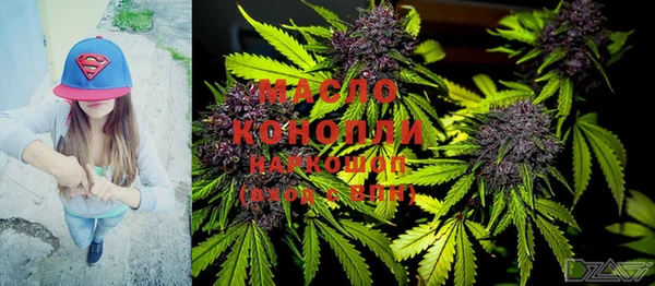 молекула духа Медвежьегорск