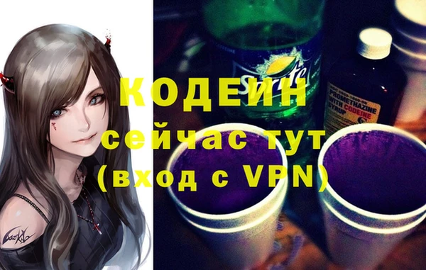 дмт Мегион