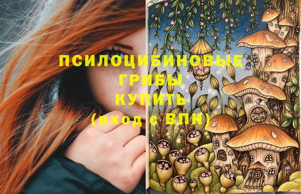 mdpv Тутаев
