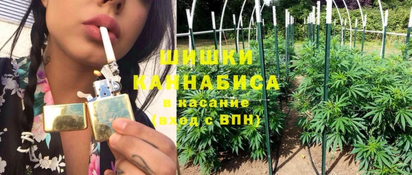 молекула духа Медвежьегорск