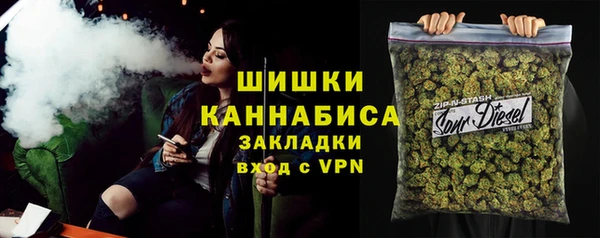 молекула духа Медвежьегорск