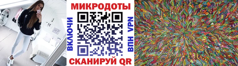 Псилоцибиновые грибы прущие грибы  Новоузенск 
